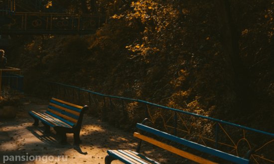 Частный дом престарелых «Наши гости» фото